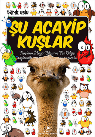Şu Acayip Kuşlar - Tarık Uslu - Uğurböceği Yayınları